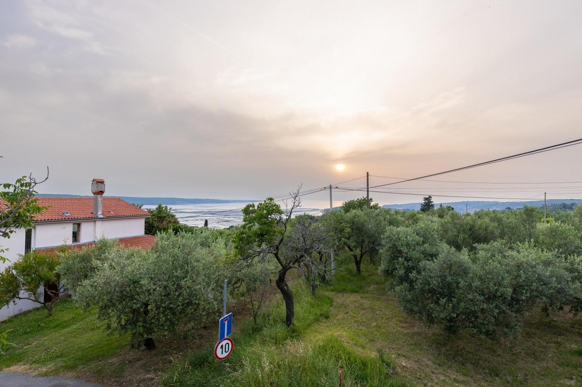 Apartments Cipresa Portorož Zewnętrze zdjęcie